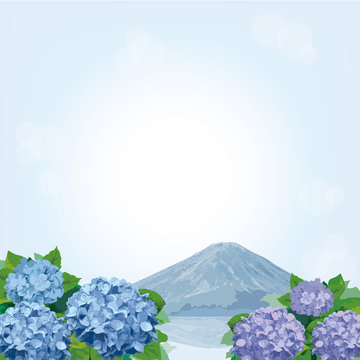 紫陽花images Browse 65 570 Stock Photos Vectors And Video Adobe Stock