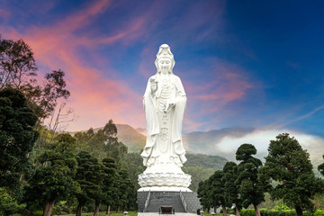 Fototapeta premium Guanyin,Tsz Shan Monastery in Hong Kong.