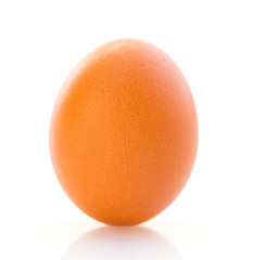 brown chicken egg