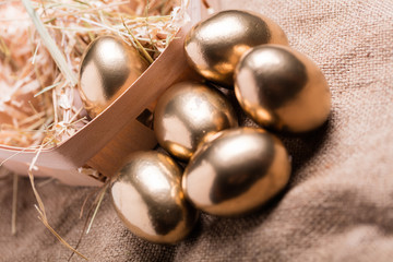 golden chicken eggs closeup