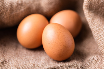 brown chicken eggs closeup