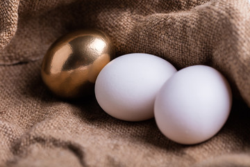 natural chicken eggs