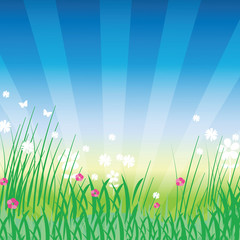 Obraz premium Summer background template