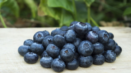 Freshly picked blueberry close up and selective focus