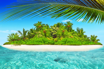 Fototapeta na wymiar Whole tropical island within atoll in tropical Ocean.