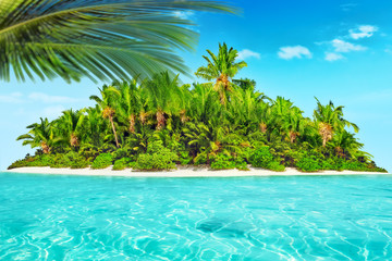 Obraz premium Whole tropical island within atoll in tropical Ocean.