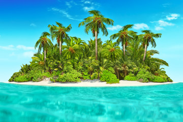 Whole tropical island within atoll in tropical Ocean.