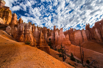 Bryce Canyon scenery, profiled on deep blue sky with clouds