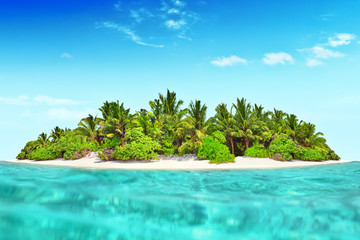 Whole tropical island within atoll in tropical Ocean.
