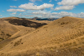 grassy slopes of Wither Hills, New Zealand