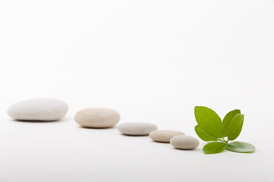 zen stones and green leaf