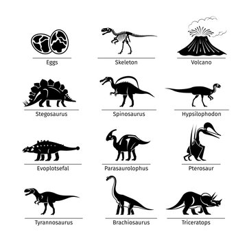 Dinosaur icons vector. Dinosaur egg and volcano, dinosaur skeleton and tyrannosaurus icons