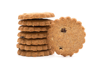 crispy cracker with raisin on white