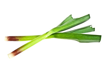 Young green garlic leaves isolated on a white background