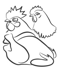 Chicken and rooster. 