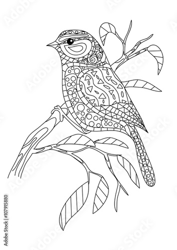"Coloring page - Bird" Stock image and royalty-free vector files on