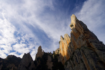 rocky needles
