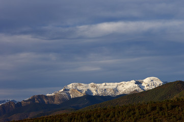 Pyrenees