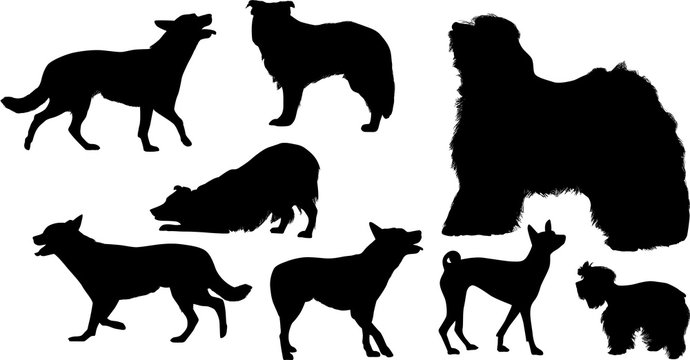 eight black isolated dog silhouettes