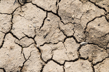 Trockerner Boden mit ausgetrockneter Acker Dürre
