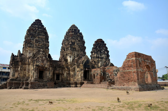 Monkey walking at ancient and ruins building Phra Prang Sam Yod