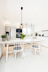 interior of a fancy kitchen