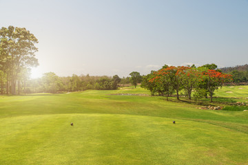 beautiful golf course tee box in early morning