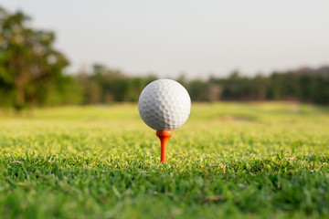 Golf ball on a tee against the golf course