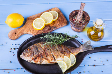 Fish dorado