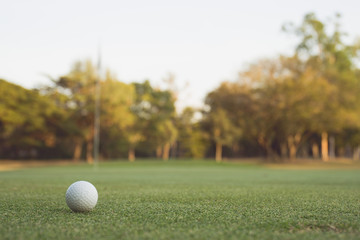 Vintage tone of Golf ball on the green