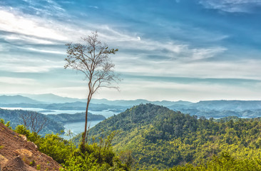 Obraz premium Lonely hillside trees, mountains in the distance are protruding, misty fog up on the lake Ta Dung hydropower generated unspoiled beauty, idyllic in the highlands of Vietnam