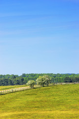 Fototapeta na wymiar Countryside near Stonehenge in Wiltshire in UK