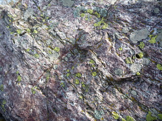 rock texture detauil with a moss