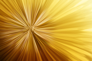 Classic vintage abstract gold flower luxury background