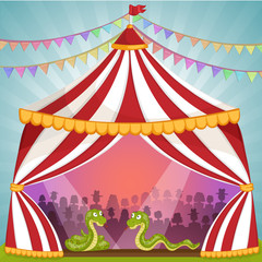Green snake in circus tent