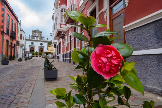 Vega de SAN MATEO