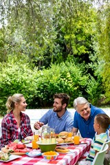 Family talking while having lunch at lawn