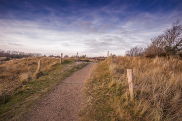 Dünen