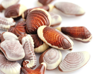 Swiss chocolate seashells on white background