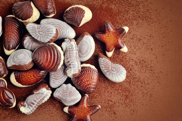Mixed of chocolate seashell candies