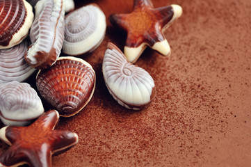 Chocolate seashells border
