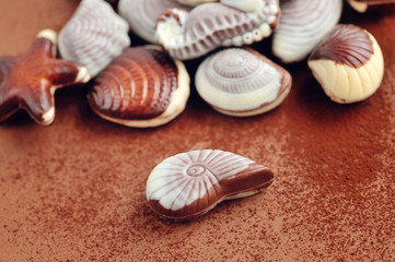 Сhocolate seashells against the background of cocoa powder