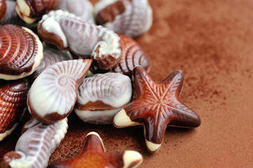 Chocolate seashells border