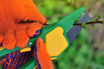 Hands with gloves of gardener doing maintenance work, cutting the bush