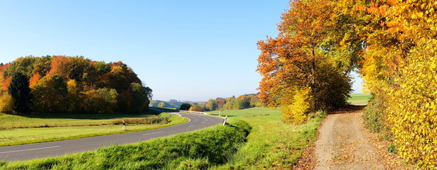 Landstrasse im Herbst zwischen Wald und Feldern
