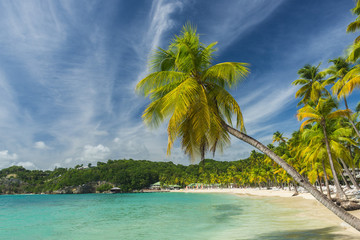 Caravelle beach