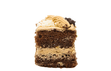 a piece of sponge cake isolated