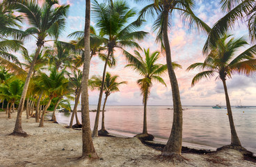 Fototapeta premium Anse Chamapgne