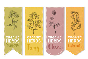 Organic herbs label of Jarrow Tansy clover calendula - obrazy, fototapety, plakaty