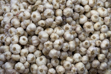 garlic bulbs and cloves for sell in fresh market
